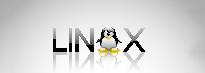 کدام سیستم عامل برای اجرای ابزارهای هوش مصنوعی مناسبتر است؟